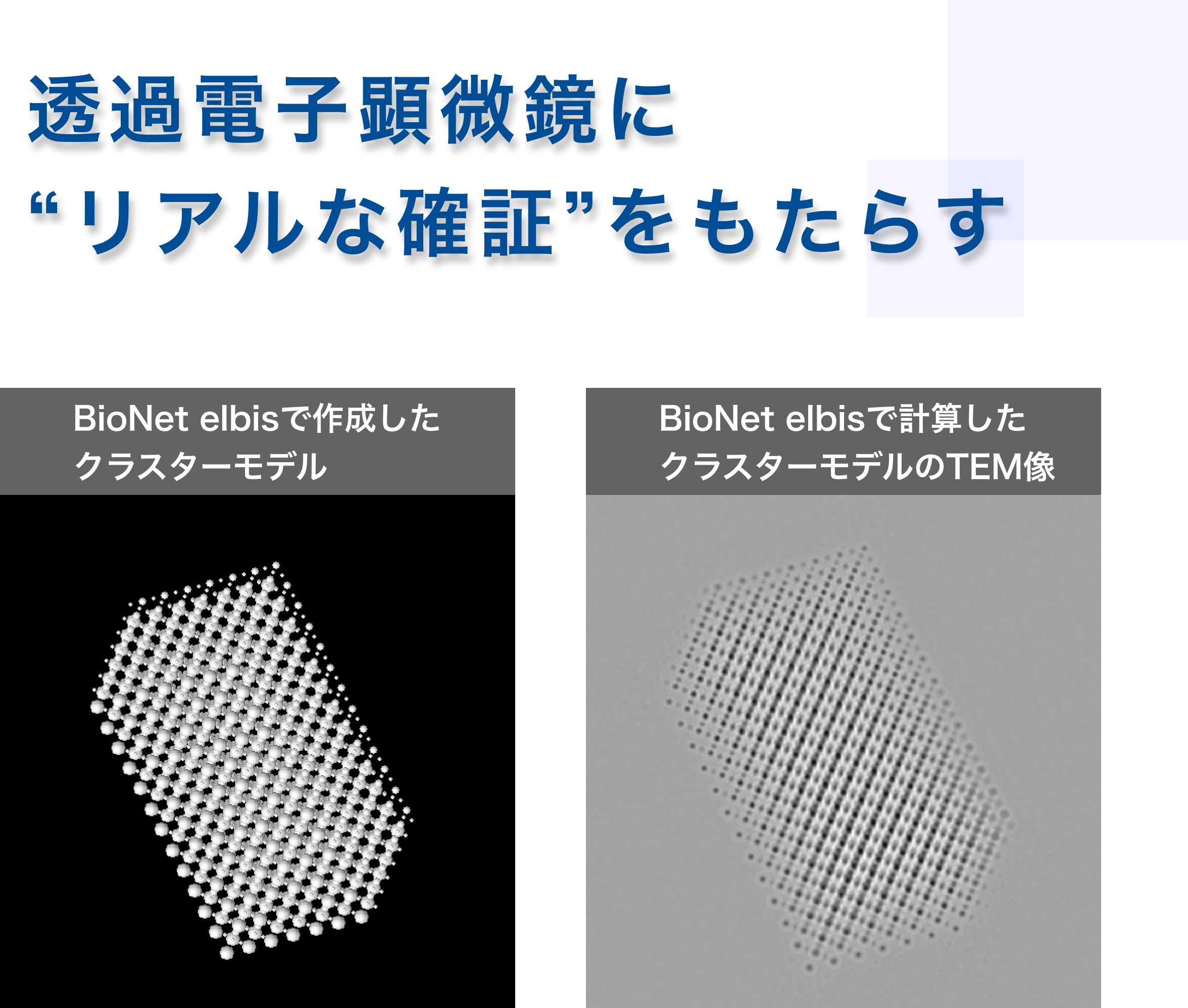 Elbis バイオネット研究所