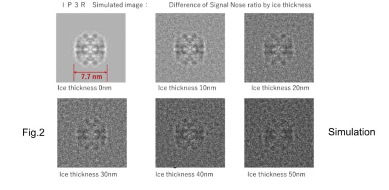 Fig.2 Simulation for the effect of ice thickness for a TEM protein image. Defocus=-360nm, Cs=0.002mm