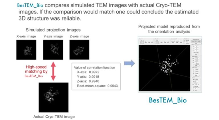 Fig.4 BesTEM_Bio compares simulated images with actual Cryo-TEM images.